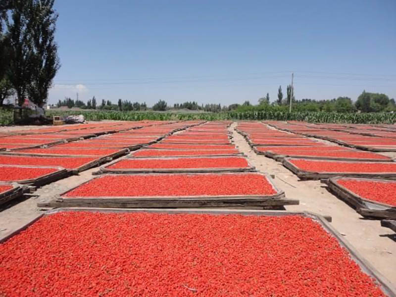 微信圖片_20200904165714.jpg 微信圖片_20200904165714.jpg