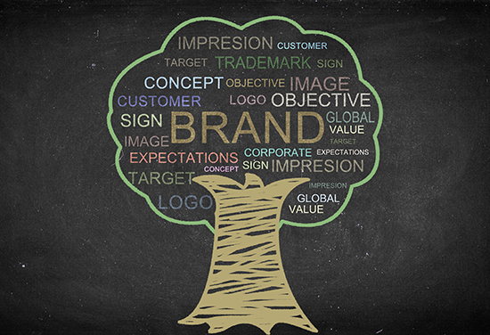 ɶԃ˾ʲô-κYxԃ˾