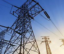 2025ИI ʮ塱 ҎƵָϡɶИIԃ-ɶԃ˾