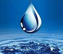 ĴVȪˮИIƷо棨2025-2026ɶԃ˾-VȪˮИIIN߄-ԃ˾