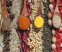 Ĵ{ζƷИIlչ棨2025-20262026 _ 850 |Ĵ{ζƷĴڅͺ{ + ԳL