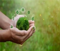 ʮҎaI桿xʮ壺²ϮaIǰͻcaIxܣ춨δaIʯ